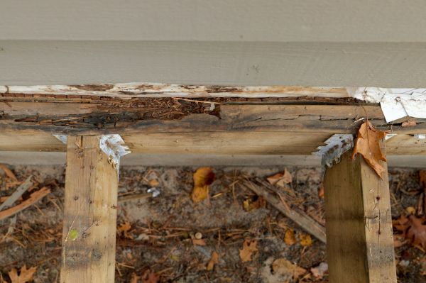 Kalamazoo Wood Rot Repair