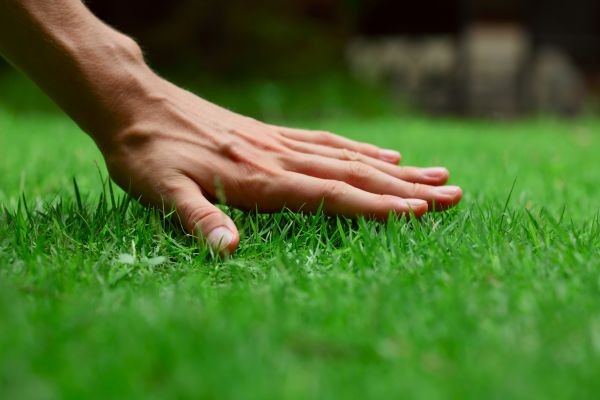 Kalamazoo Lawn Treatment