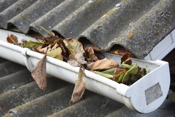 Kalamazoo Gutter Cleaning
